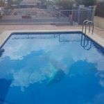 Profile Picture of Mark Damòn (@cstle00) on Instagram