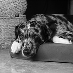 Greg McMichael - Flickr Profile Picture of Greg McMichael (@gregmcmichael) on Flickr