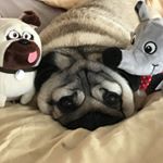 Profile Picture of Gordon Bertsch (@bertschgordon) on Instagram