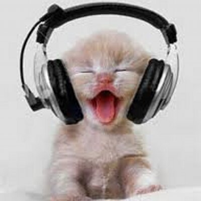 Profile Picture of Alexis Sutton (@SuttonAlexis) on Twitter