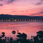 Profile Picture of Alexa Ivy Gyriffon (@alexa.ivy.gryiffon) on Instagram