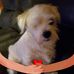 Profile Picture of Debi Mitchell (@debi.mitchell.5076) on Facebook