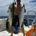 Profile Picture of Terry Schneider (@tlschneider21) on Pinterest