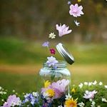 Profile Picture of suaad (@suaad.coach) on Instagram