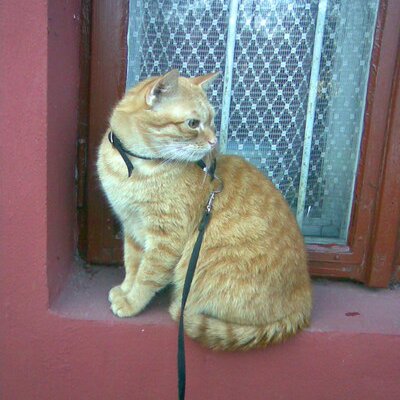 Profile Picture of Hanna (@HannaZajac) on Twitter