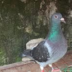 Profile Picture of Johnson Bartolay (@johnson.bartolay.2025) on Facebook