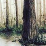 Profile Picture of Peter Reylek (@singingtreemagic) on Instagram