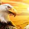Profile Picture of Richard Opperman (@richard.opperman.14) on Facebook
