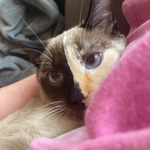 Profile Picture of Rylie Schefter (@rschefter1) on Poshmark