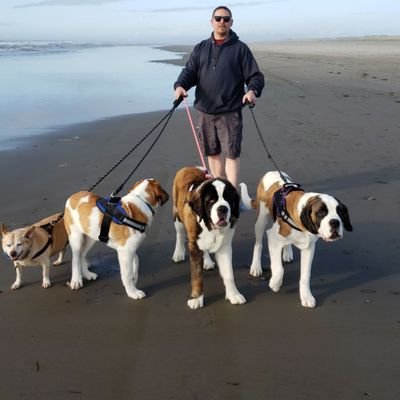 Profile Picture of Jason Schutt (@jasonschutt) on Twitter