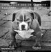 Profile Picture of Ron Pullins (@ron.pullins.9) on Facebook