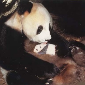 Profile Picture of Dorothea Conover (@142333117) on Myspace