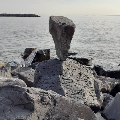 Mouton Noir - Twitter Profile Picture of Mouton Noir (@AlfaloPatrick) on Twitter