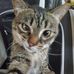Profile Picture of Jeffrey William Nolle (@jeffrey.w.nolle) on Facebook