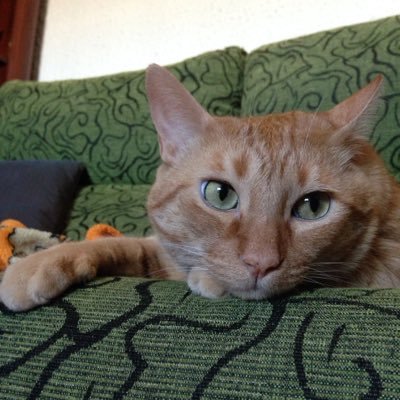 Profile Picture of David (@David_Rayo92) on Twitter