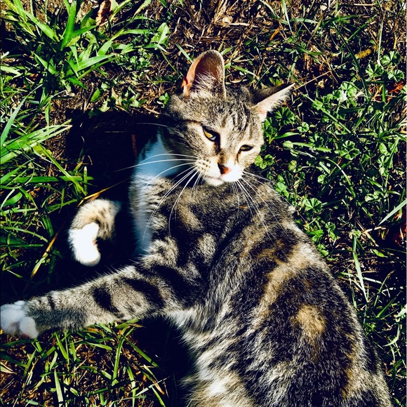 Kaylia Sitkiewicz - Poshmark Profile Picture of Kaylia Sitkiewicz (@kturcotte39) on Poshmark