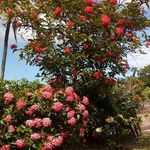 Profile Picture of Julio César Hermida (@jchuy_74) on Instagram