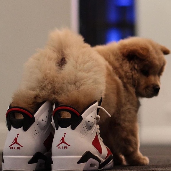 Profile Picture of Dylan Goffredo (@d_goffredo11) on Poshmark