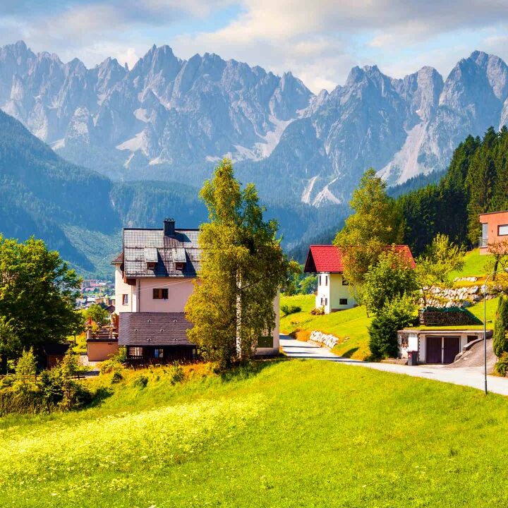 paulapinelli - Tiktok Profile Picture of paulapinelli (@paulapinelli) on Tiktok