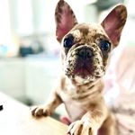 Profile Picture of Angela Grimes (@angelagrimes65) on Instagram