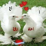 Profile Picture of Nasreen Issa (@Nasreen-Issa) on Facebook