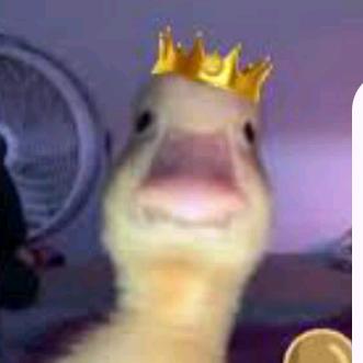 Profile Picture of Mario Fuentes (@mario.fuentes92) on Tiktok