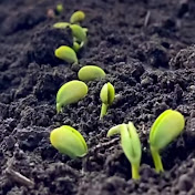 Profile Picture of JD Farmer (@JDFarmer3143) on Youtube