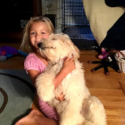 Profile Picture of David Capalbo (@capalbo1) on Youtube