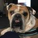 Profile Picture of Jeremy Koopman (@jeremy.koopman.37) on Facebook