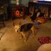 Profile Picture of Gale O'laughlin (@gale.olaughlin.9) on Facebook