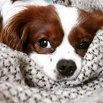 Profile Picture of Jeremy (@jeremy_cavaliers) on Instagram