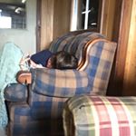 jared hodges - Instagram Profile Picture of jared hodges (@poosypoper69) on Instagram