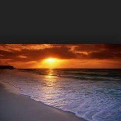 Profile Picture of David Feld (@david.feld) on Tiktok