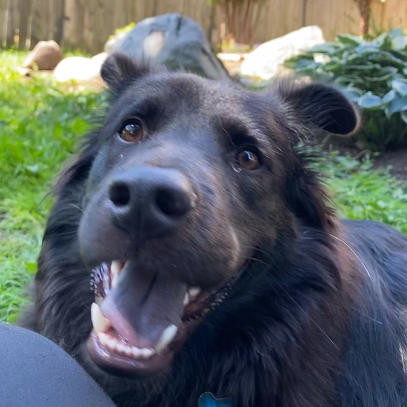 Profile Picture of Josh Lim (@josh_lim) on Poshmark