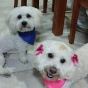 Profile Picture of Mauricio Benavides (@MauricioBenavides-z2e) on Youtube