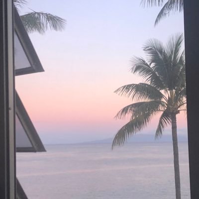 Profile Picture of Lindsay Schaefer (@Lindsay45290867) on Twitter