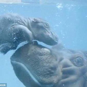 Profile Picture of Adam Machoń (@machon_adam) on Twitter