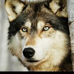 Profile Picture of Andrew Retamar (@andrewretamar) on Instagram