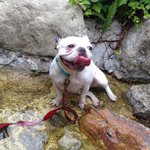 Sharon Godfrey - Instagram Profile Picture of Sharon Godfrey (@vashainetp) on Instagram