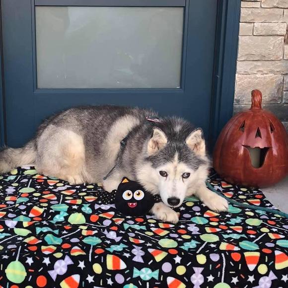 Profile Picture of Kyle Rottenberg (@kbrottenberg) on Poshmark