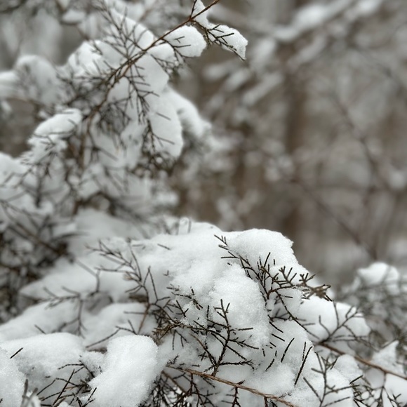 Profile Picture of Oscar Moraga (@oscarmoraga12) on Poshmark