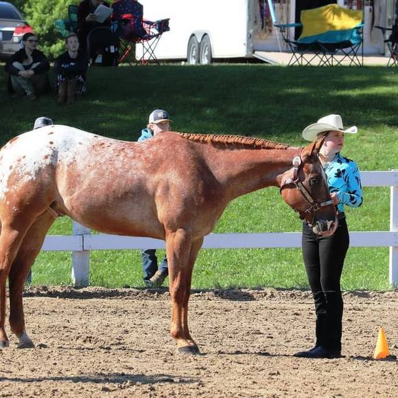 Skyla Tonkovich - Poshmark Profile Picture of Skyla Tonkovich (@skylatonkovich) on Poshmark