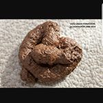 tylerparmenter - Instagram Profile Picture of tylerparmenter (@kocknocker91) on Instagram