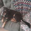Profile Picture of Buddy Myers (@@buddymyers69) on Tiktok