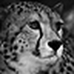 Profile Picture of Daniel Jordan (@danieljordan) on Flickr