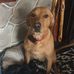 Profile Picture of Pam Helms (@pam.helms.39566) on Facebook