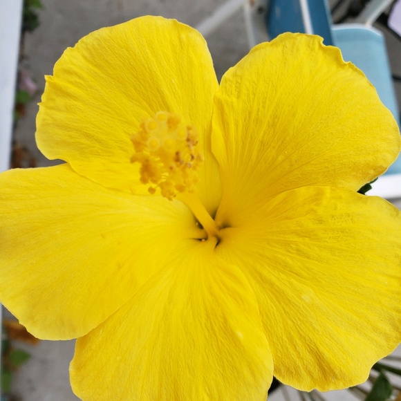 Ruthann Sharp - Poshmark Profile Picture of Ruthann Sharp (@wildruthy) on Poshmark