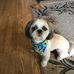 Profile Picture of Donald Schrock (@donald.schrock.90) on Facebook