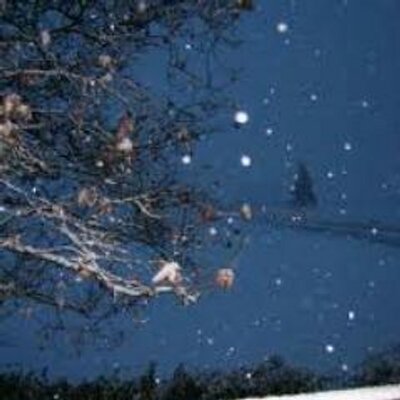 Profile Picture of Danielle Mathias (@danielleMathia2) on Twitter