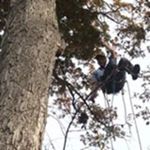 Profile Picture of Stephen Liverman (@stephenraye) on Instagram